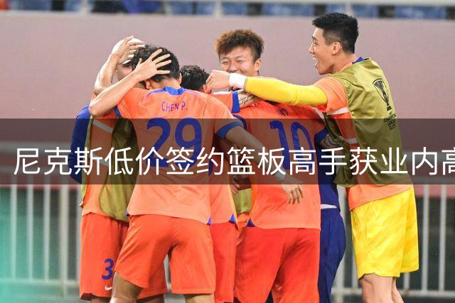 尼克斯低价签约篮板高手获业内高度认可